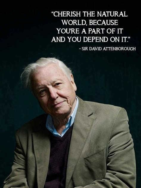 david attenborough quotes